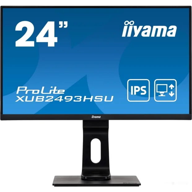 Монитор Iiyama ProLite XUB2493HSU-B1